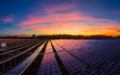 What Will A Renewable Energy Plan Do For My Bottom Line?