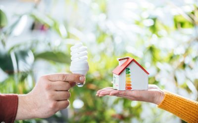 Electricity Market Update