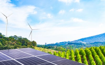 Empowering Communities: Decentralised Energy Solutions for a Resilient Future