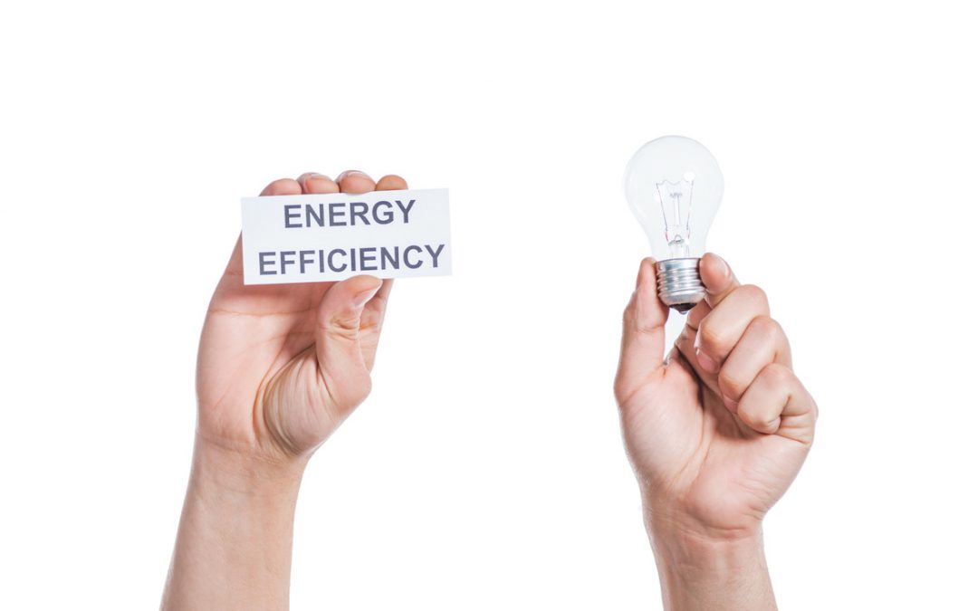 Mastering Energy Efficiency on a Large Scale: A Guide by Negawatt Energy Solutions