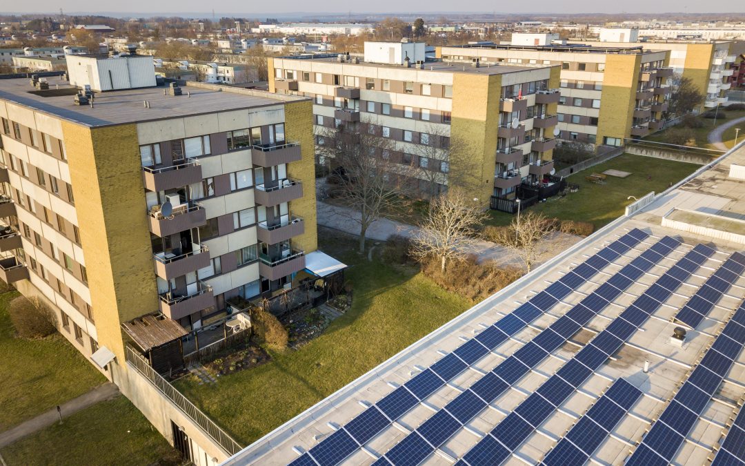 Exploring Solar Energy Adoption in Australian Businesses